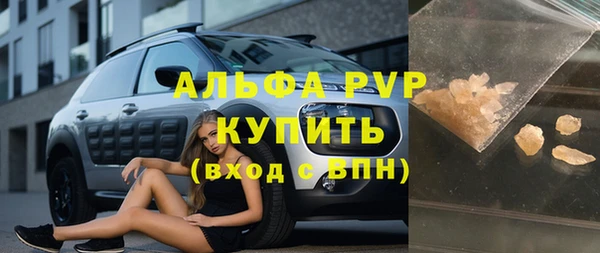 ПСИЛОЦИБИНОВЫЕ ГРИБЫ Белокуриха