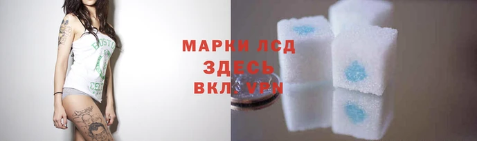 ПСИЛОЦИБИНОВЫЕ ГРИБЫ Белокуриха