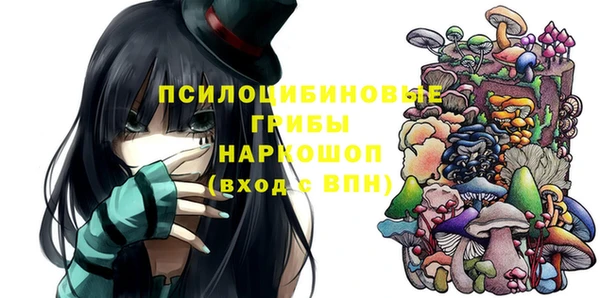 ПСИЛОЦИБИНОВЫЕ ГРИБЫ Белокуриха