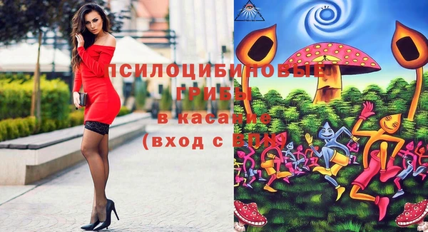 ПСИЛОЦИБИНОВЫЕ ГРИБЫ Белокуриха